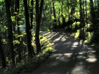 Stoupání do Čečenic