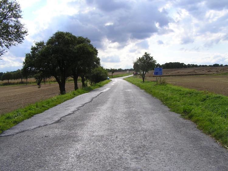 obrázek z trati