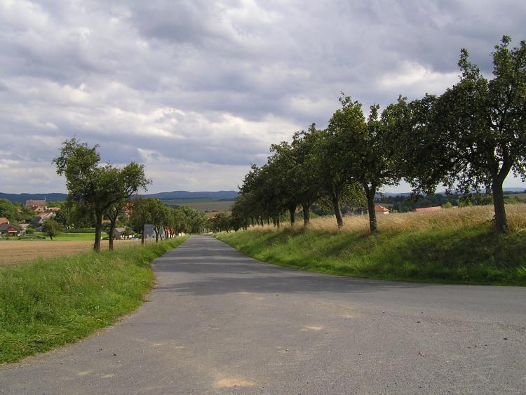 obrázek z trati