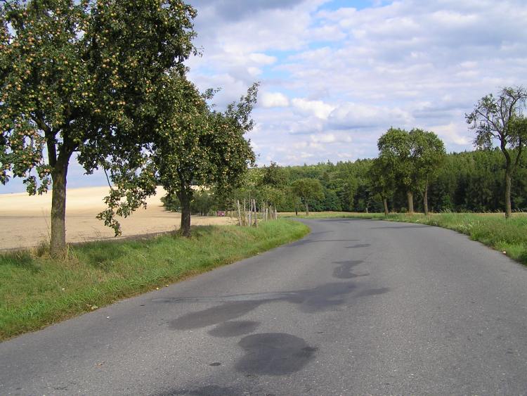 obrázek z trati