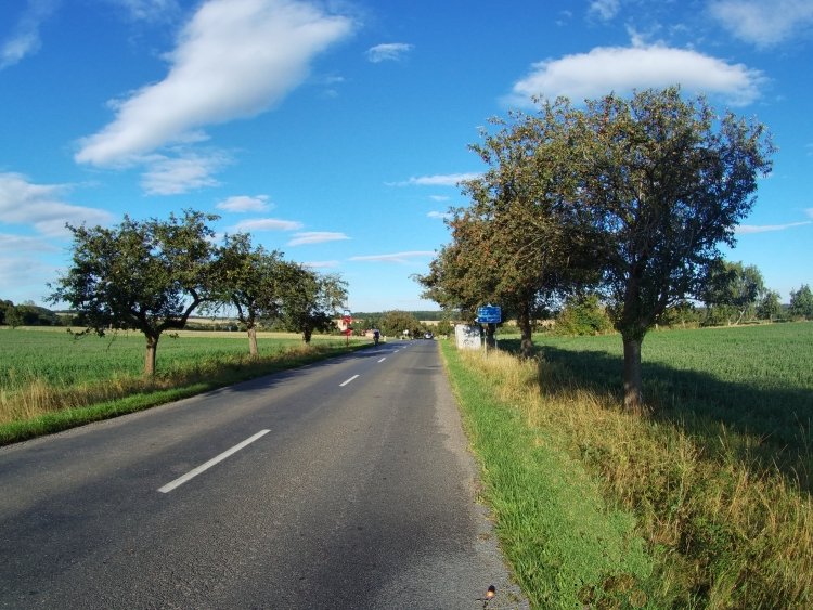 obrázek z trati