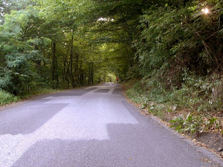 obrázek z trati