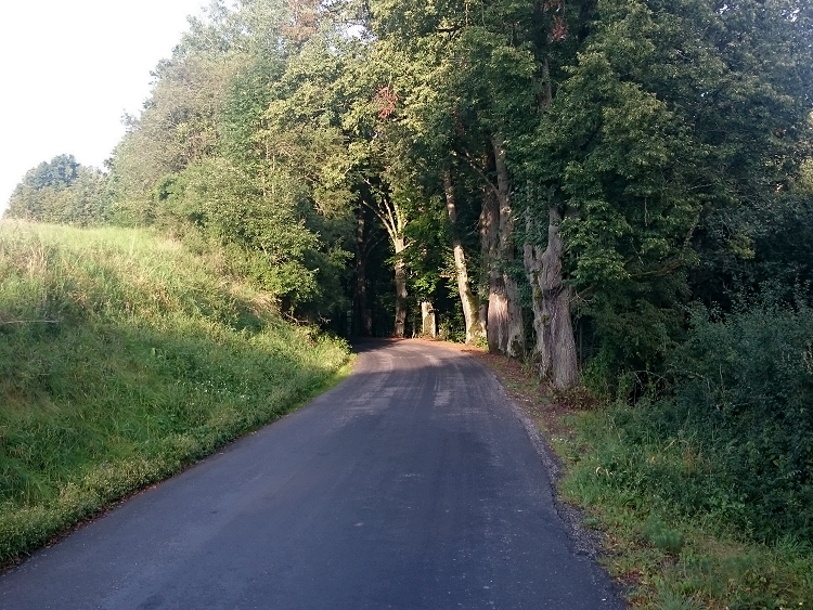 obrázek z trati