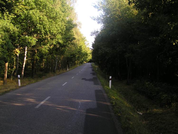 obrázek z trati