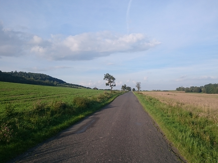obrázek z trati