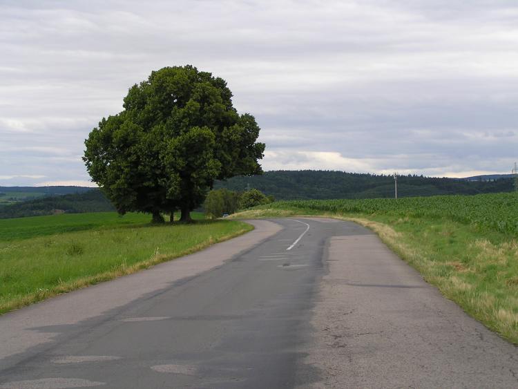 obrázek z trati