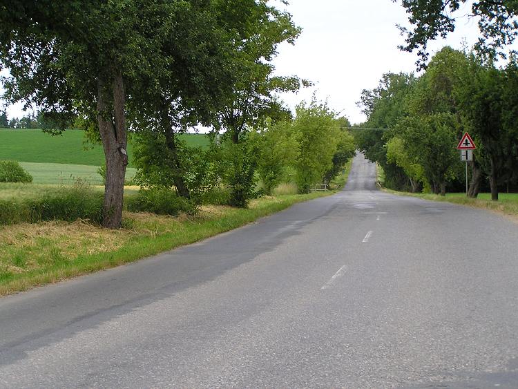 obrázek z trati