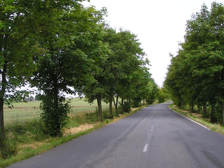 obrázek z trati