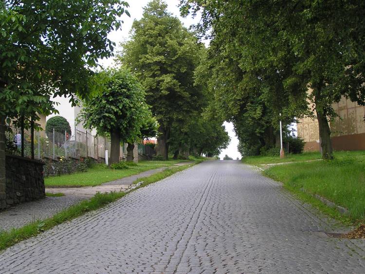 obrázek z trati