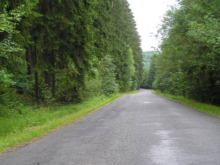 obrázek z trati