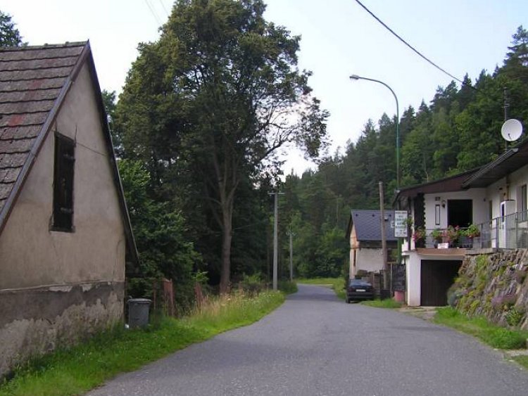 obrázek z trati