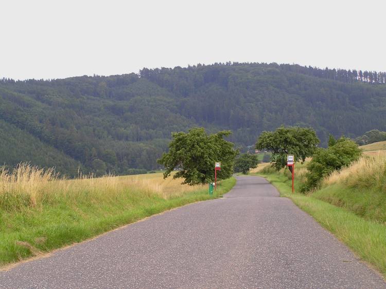 obrázek z trati