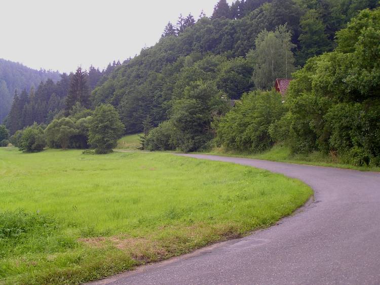 obrázek z trati