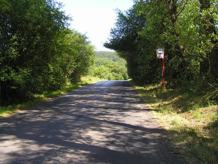 obrázek z trati