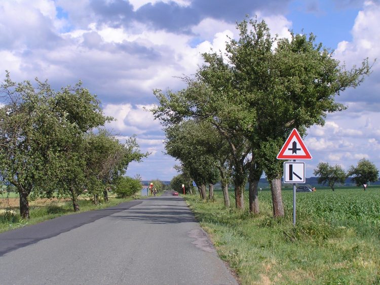 obrázek z trati