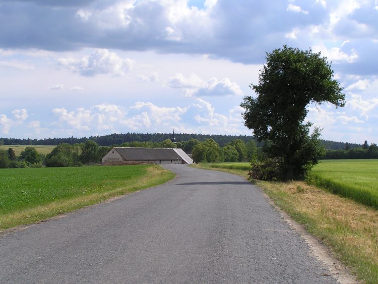 obrázek z trati