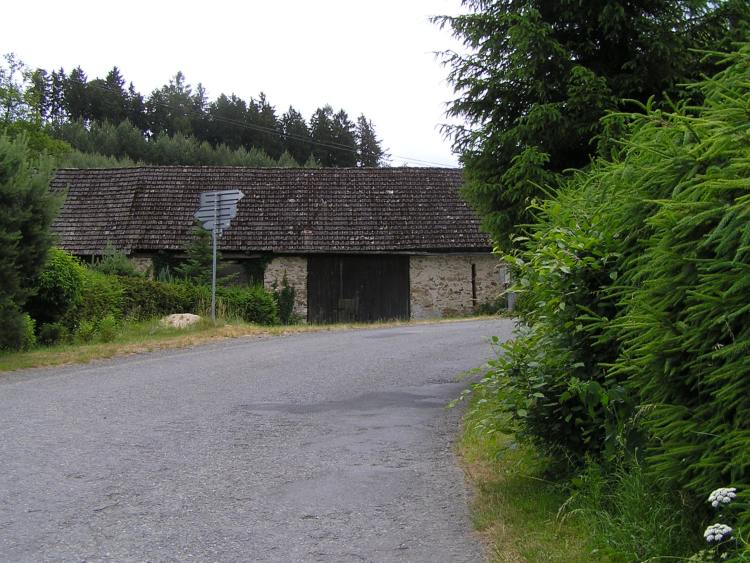 obrázek z trati
