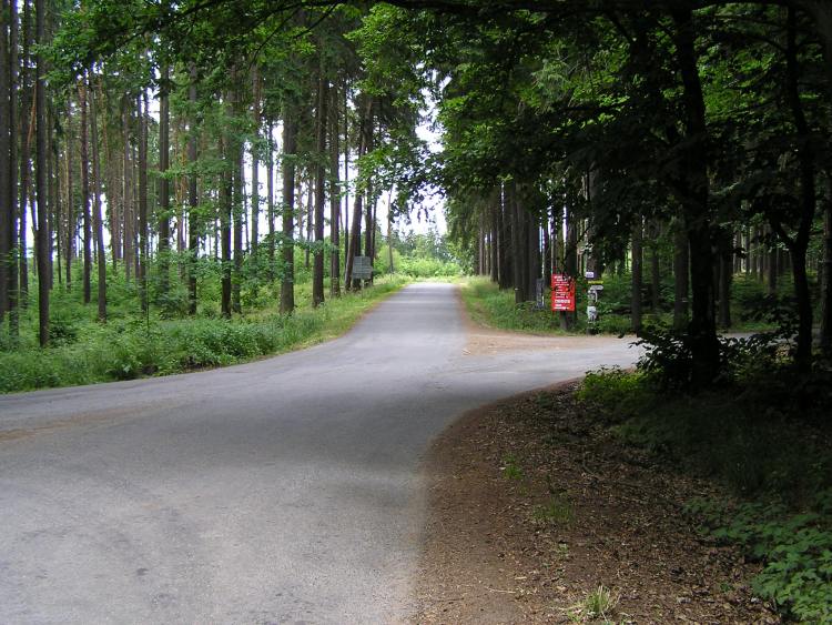 obrázek z trati
