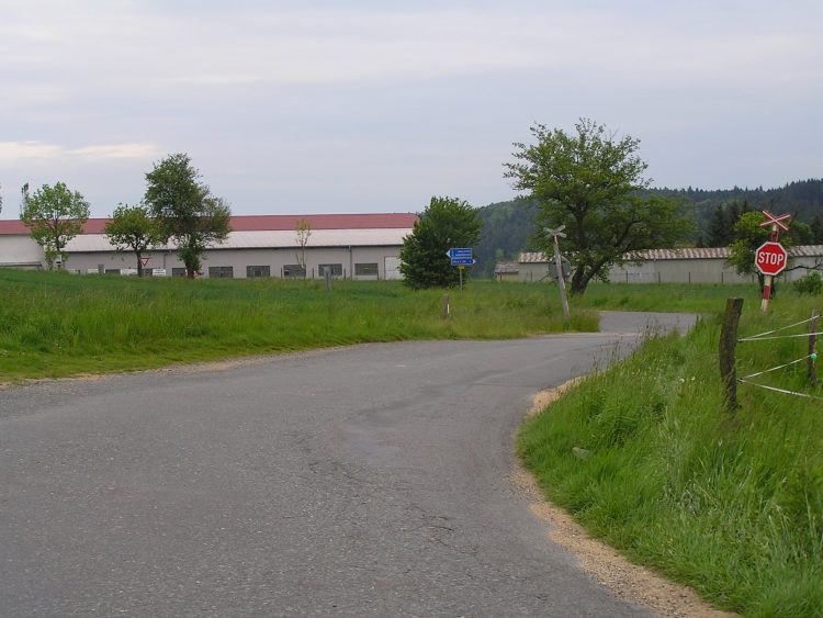 obrázek z trati
