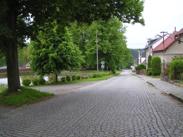 obrázek z trati