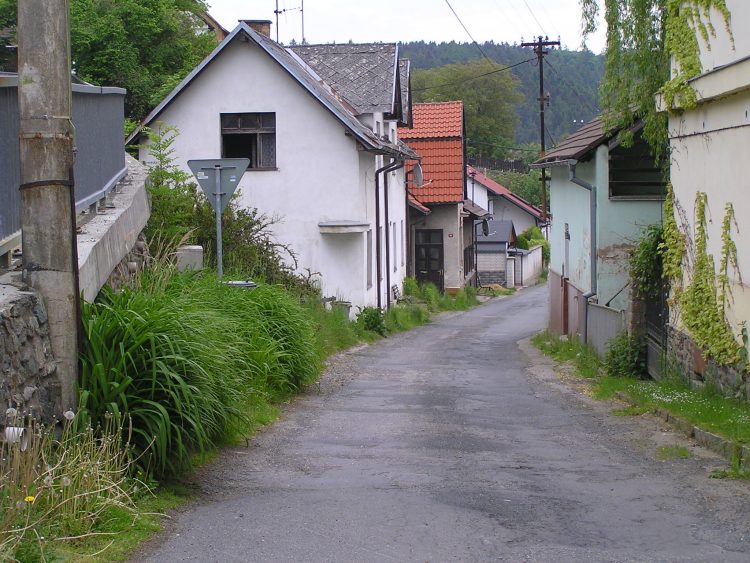 obrázek z trati