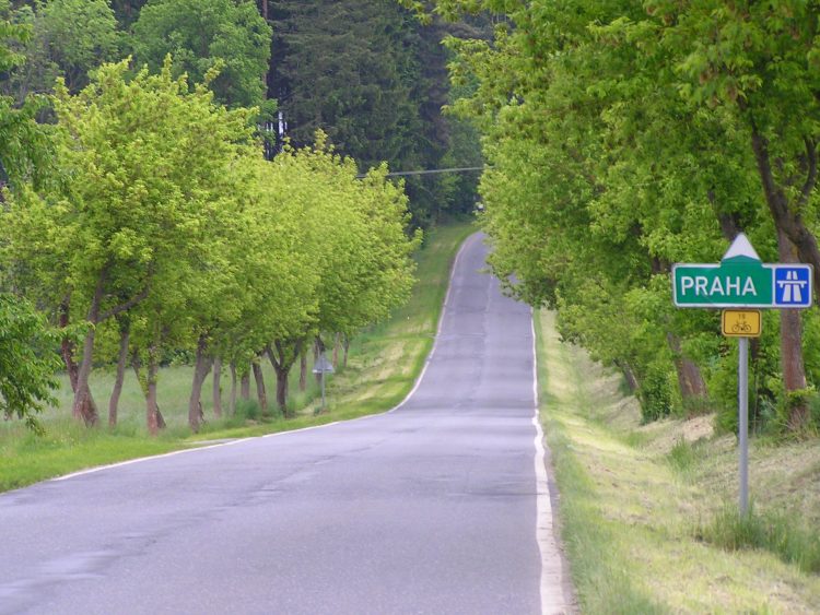 obrázek z trati