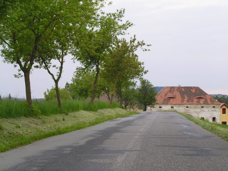 obrázek z trati