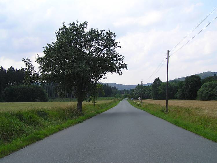obrázek z trati