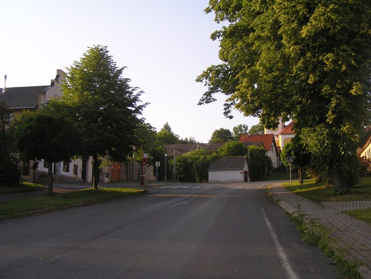 obrázek z trati