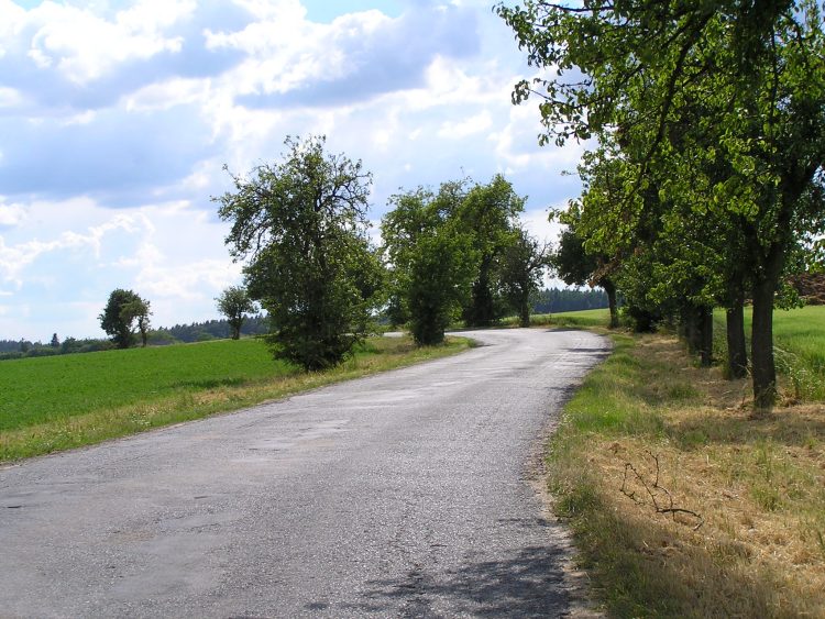 obrázek z trati