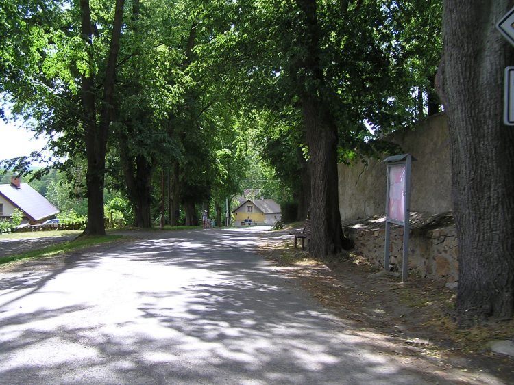 obrázek z trati