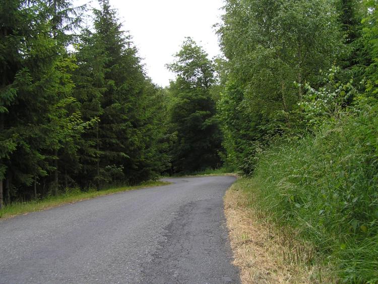 obrázek z trati