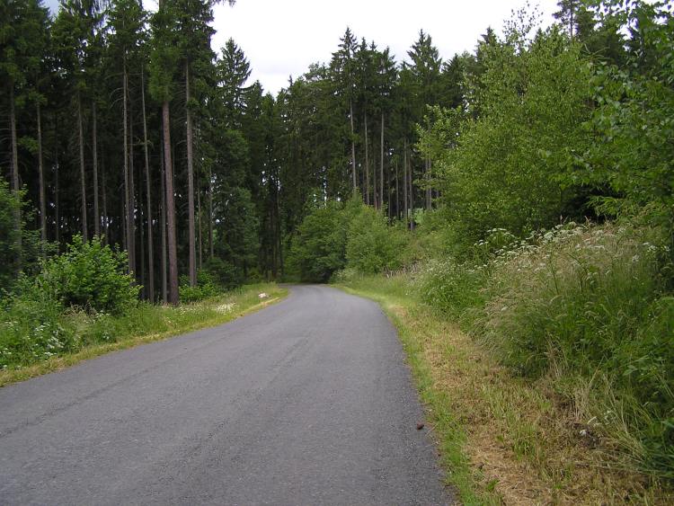 obrázek z trati