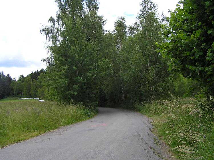 obrázek z trati