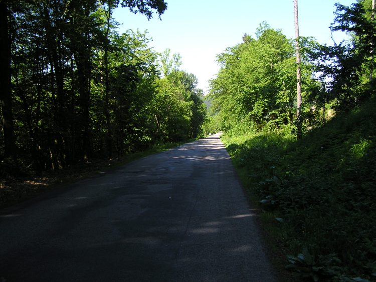obrázek z trati