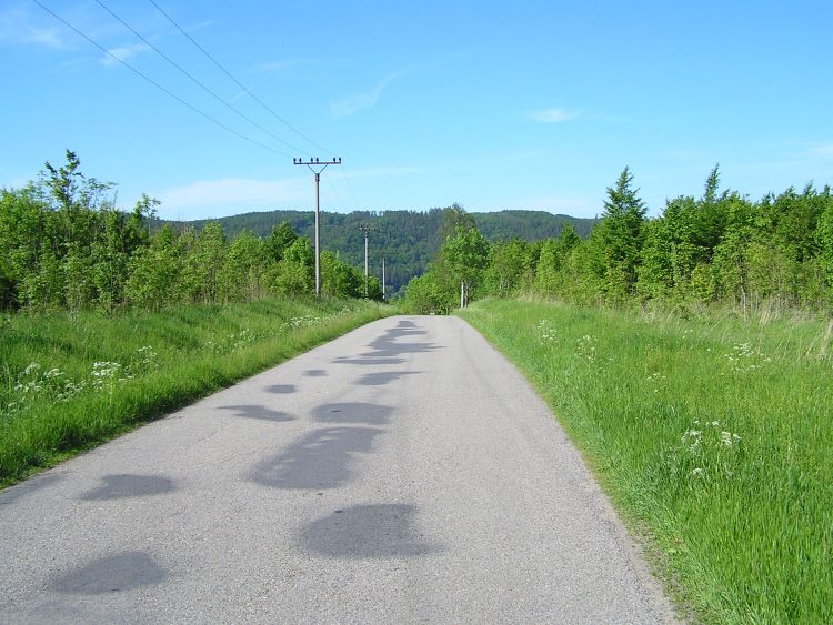 obrázek z trati