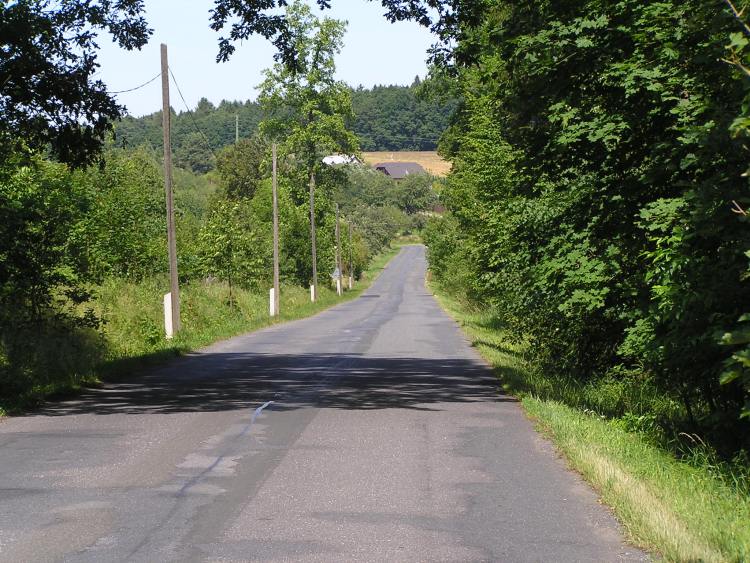 obrázek z trati